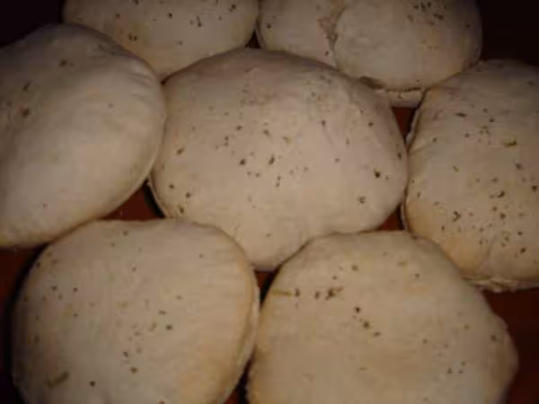 Pain bagnat precuit