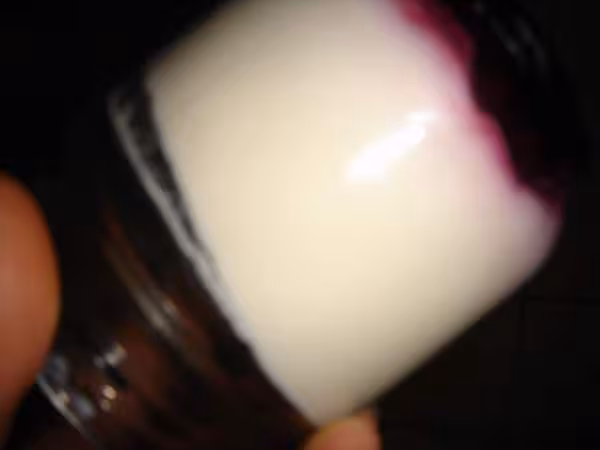 Yaourt creme a la confiture de mures
