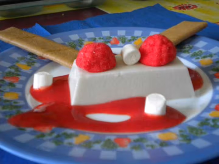 Pannacotta de la gavotte vue de cote