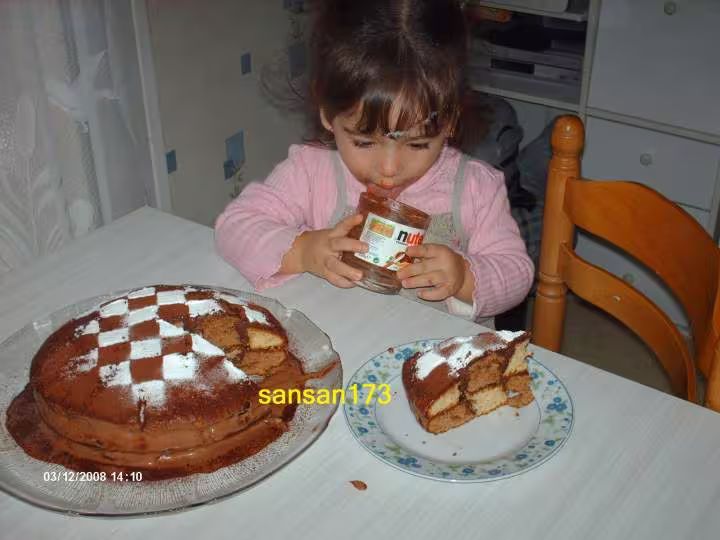 Damier a la mousse