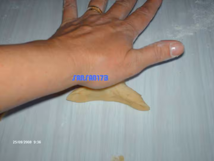 L arayech5