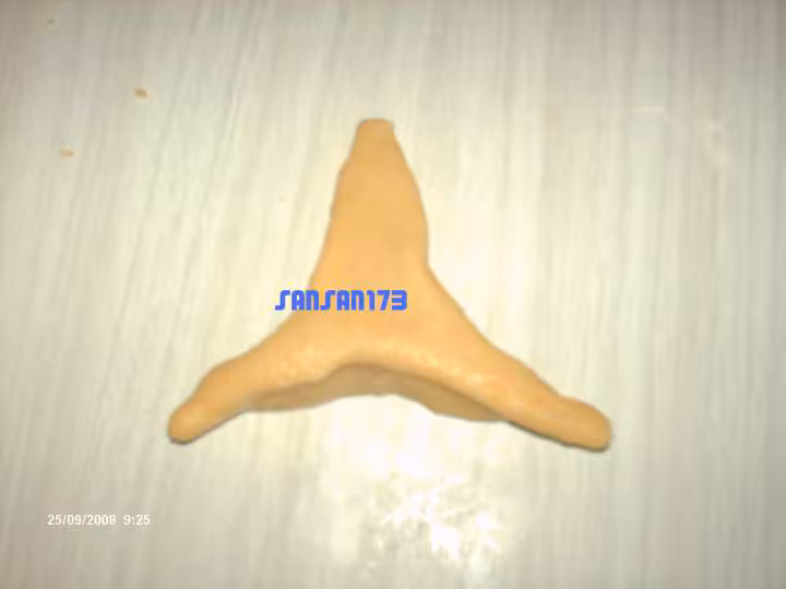 L arayech6
