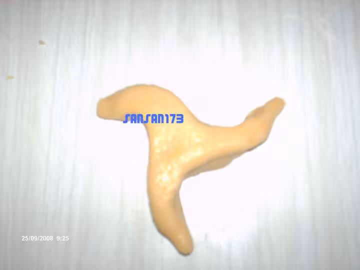 L arayech7