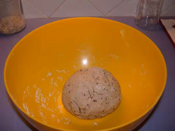 Pate petrie