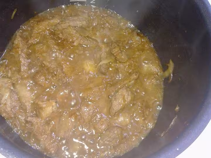 Boeuf aux oignons3