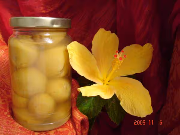 Mes citrons confits et une fleur d hibiscus