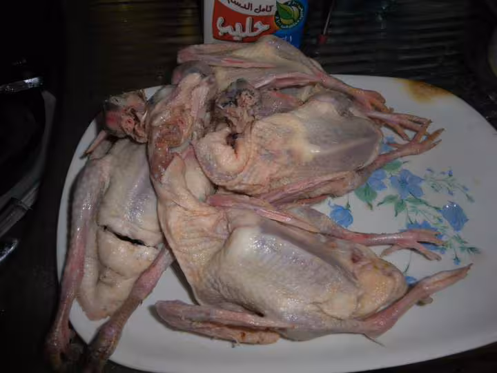 Pigeons pret a la cuisson