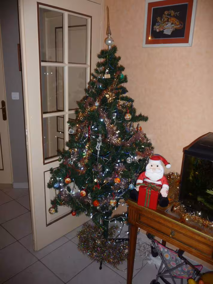 Sapin de la piroma family