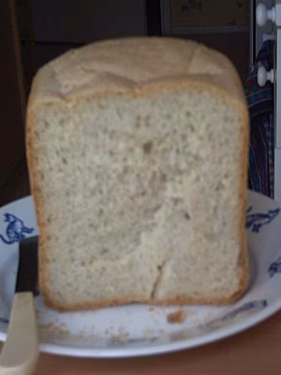 1er pain sur poolish vue de l interieur