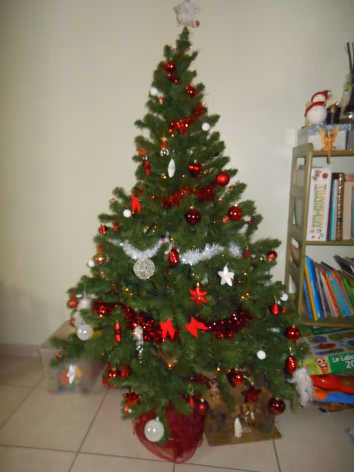 Sapin 2012