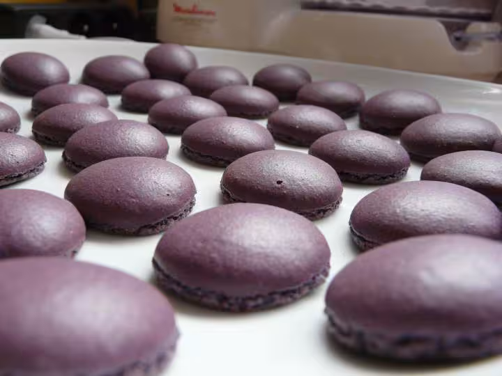 Macaron 4