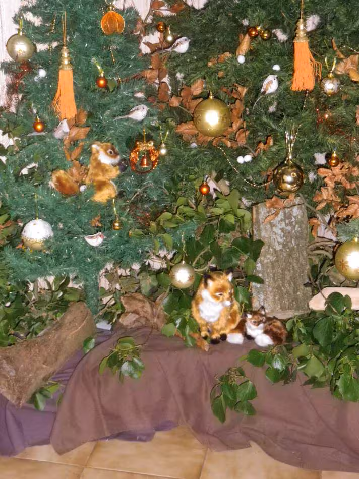 Autre apercu des animaux de nos sous bois