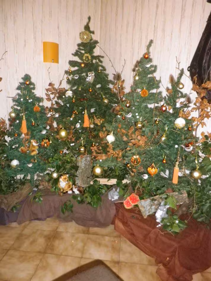 Sapin s 2012