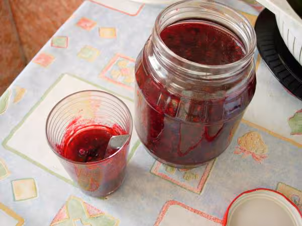 1er confiture de mures en map