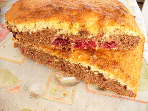 Gateau de derfred62 aux mures choco2