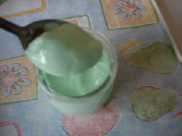 Miam miam yaourts maison au sirop de menthe