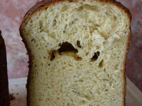 Mie pain brioche multicereales
