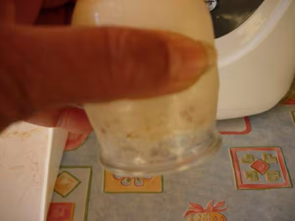 Test yaourt madeleine