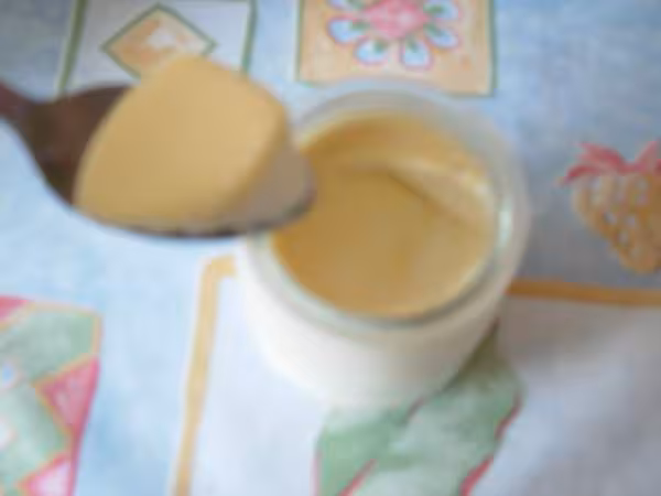 Yaourt biscuitee2