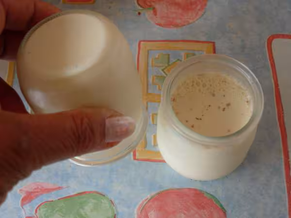 Yaourts au lait concentre