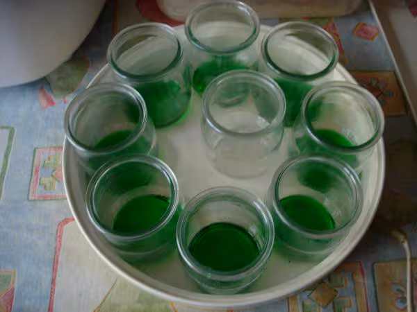 Yaourts au sirop de menthe