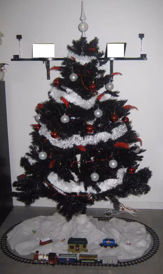 Sapin