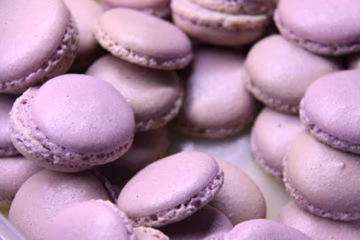 The macarons
