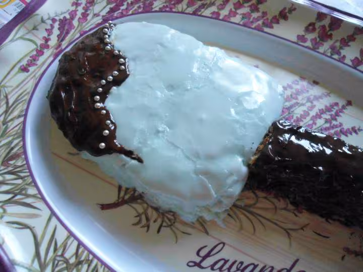 Fausse glace g ante chocolat menthe