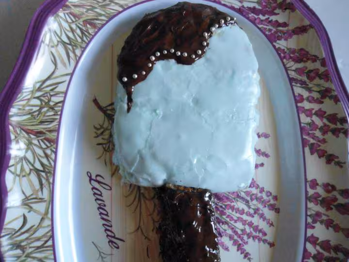 Fausse glace g ante chocolat menthe