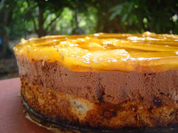 Gateau choco mango profil