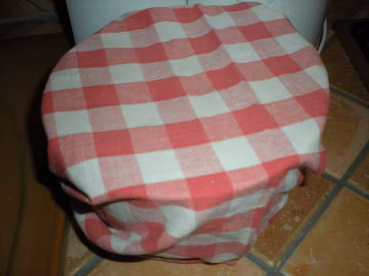 3 repos de la pate