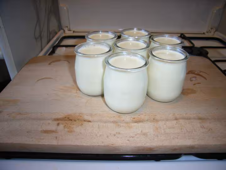 Panna cotta aux kiwis etape 4