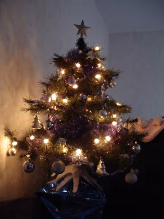 Mon sapin mauve et argent
