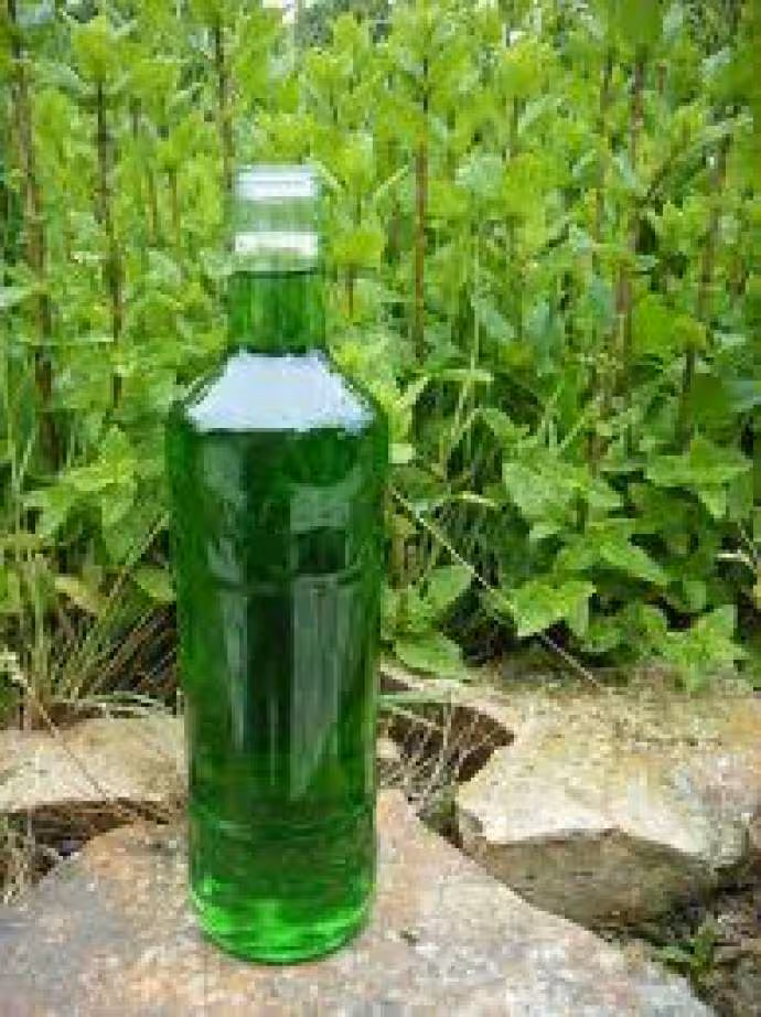 Bouleille sirop menthe maison