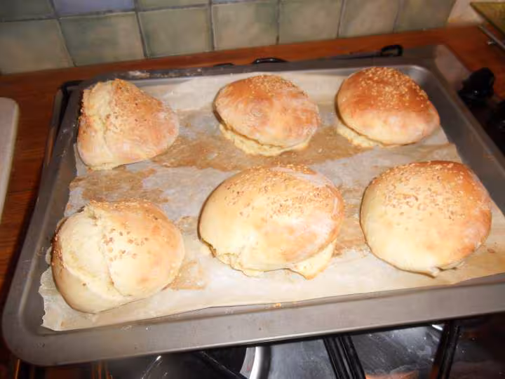 Hamburger 1