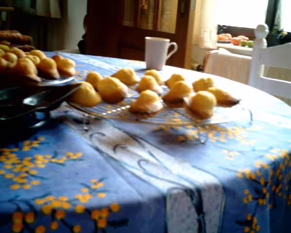 Madeleines