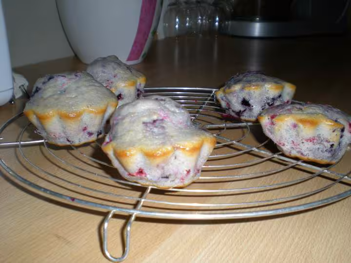 Muffins aux fruits des bois