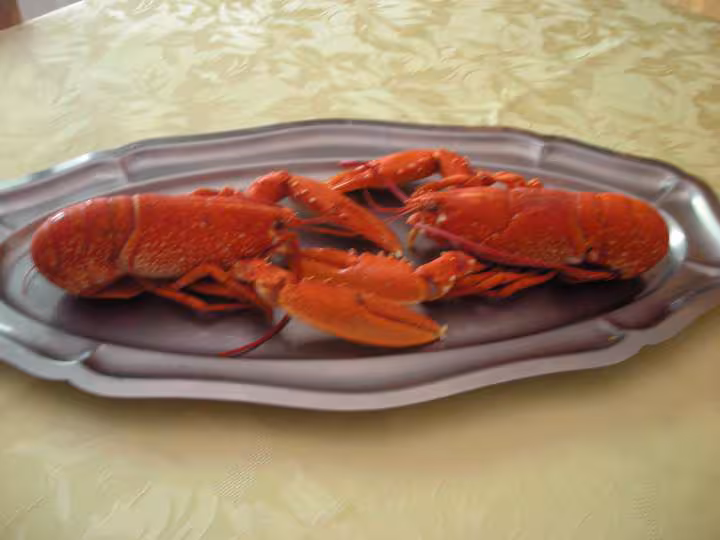 Cuisson des homards vivants