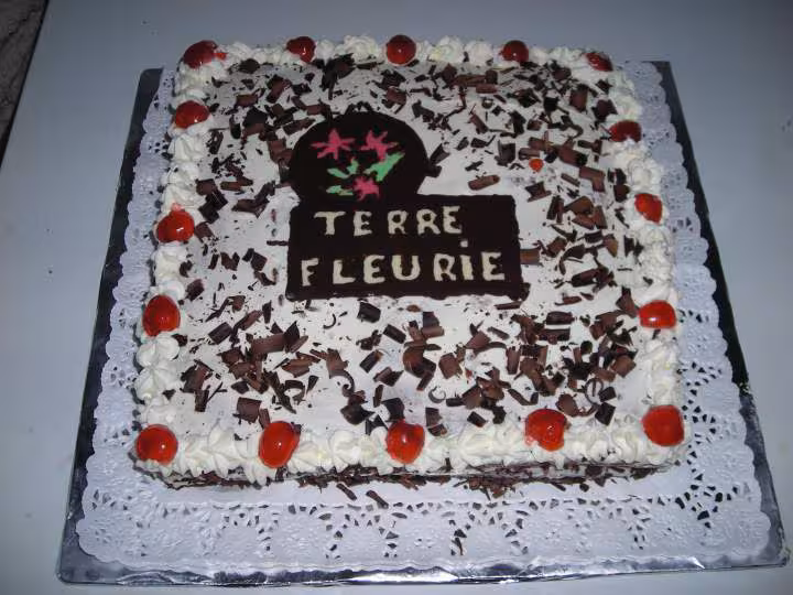 Foret noire
