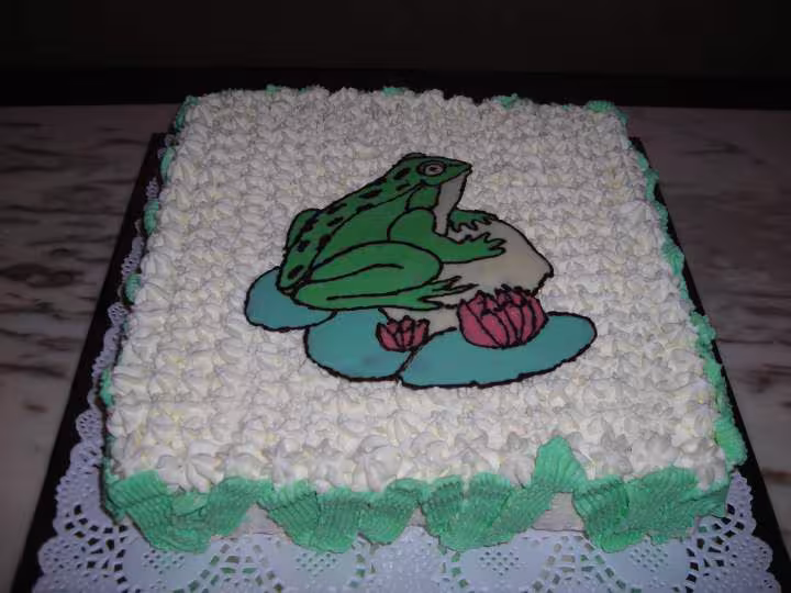 Gateau d anniversaire grenouille