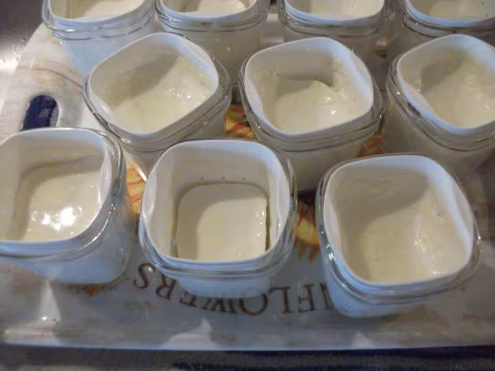 Fromage blanc de chevre