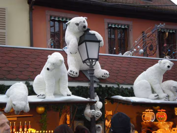 Colmar et ses ours