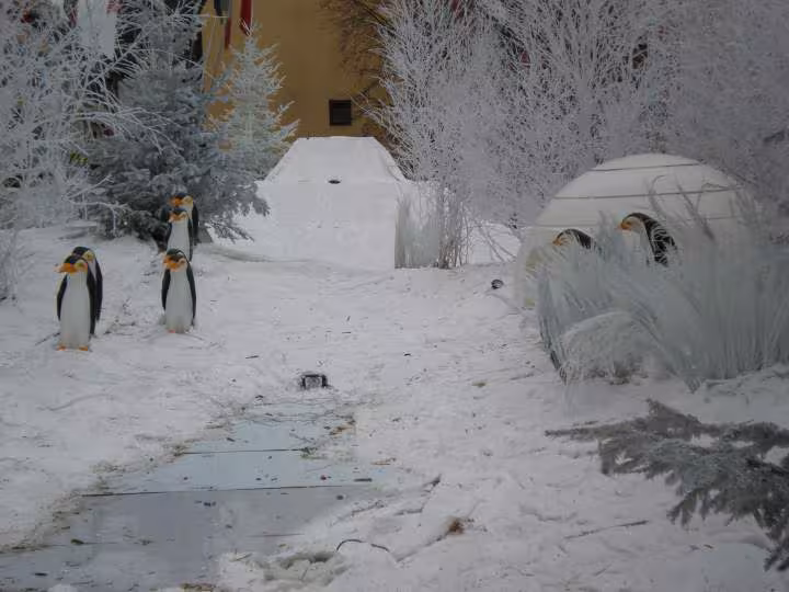 Colmar et ses pingouins