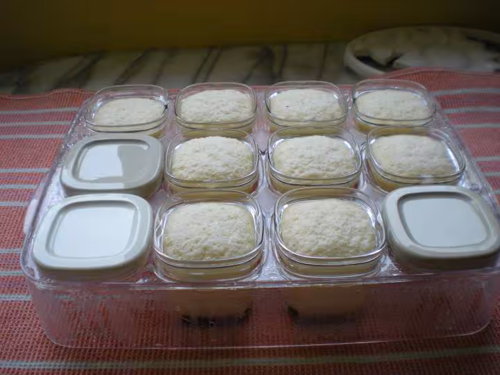 Flan antillais