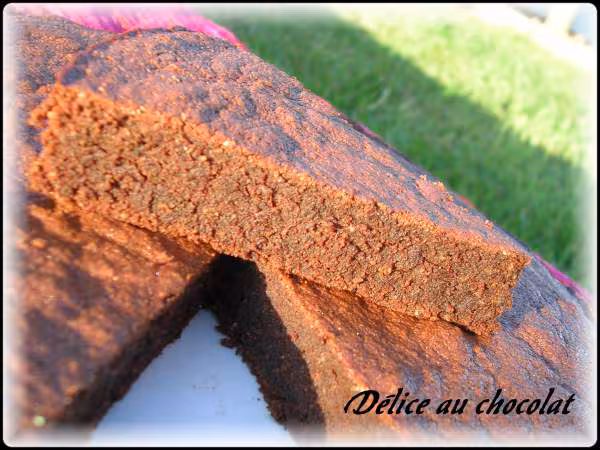 Delice au chocolat