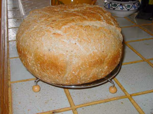 Autolyes levain liquide cocotte