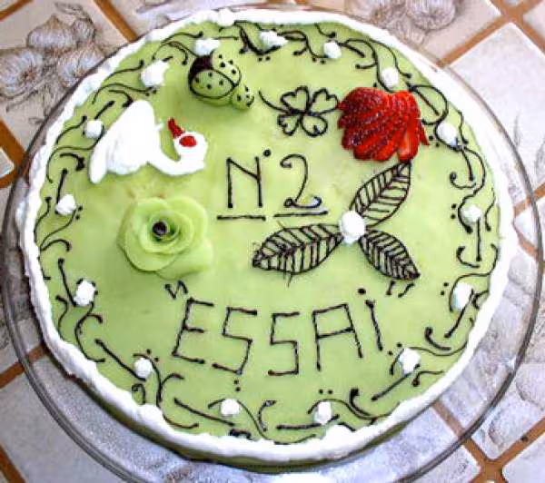 Essai 1 fraisier