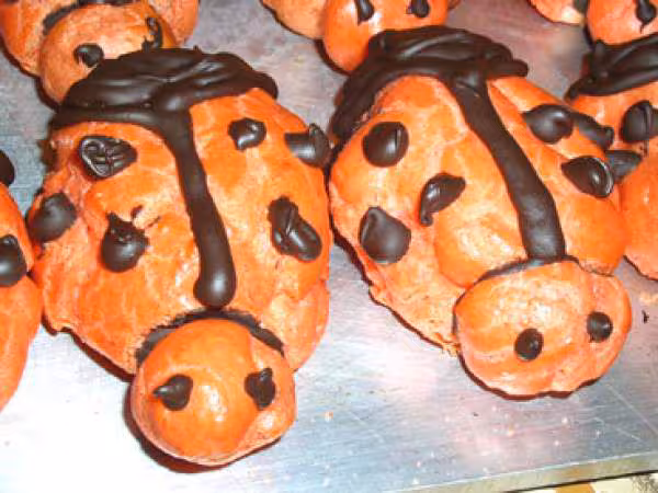 Petit choux
