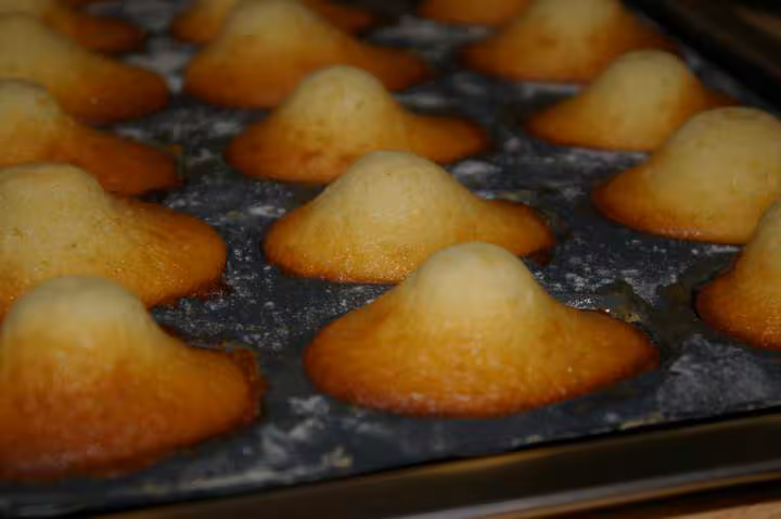 Madeleine 1