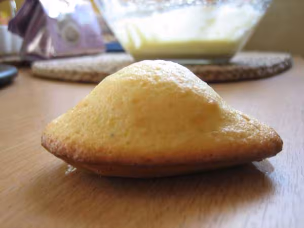 Madeleines aux zestes d oranges